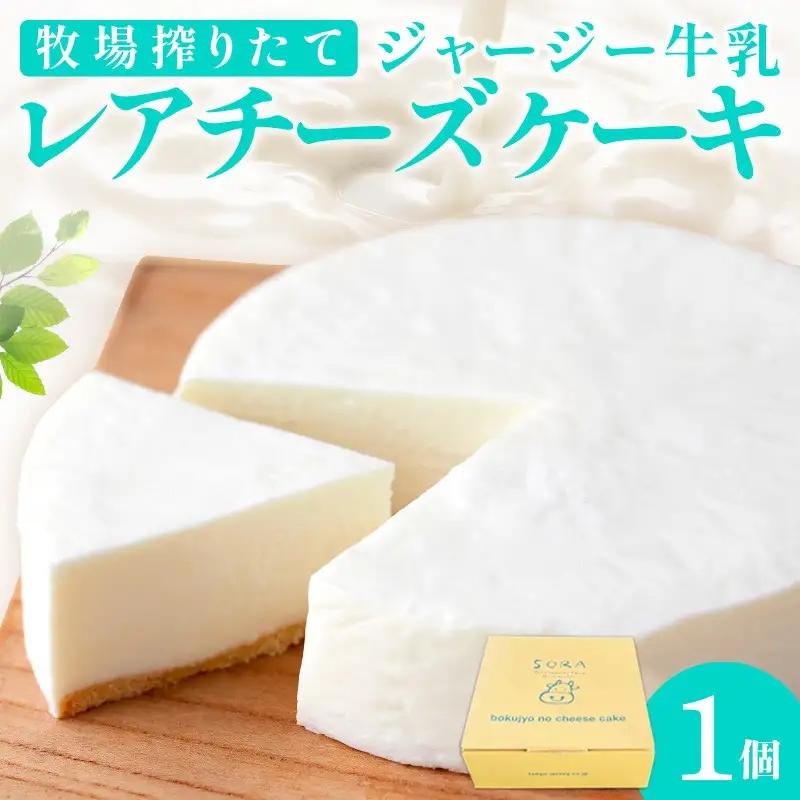 レアチーズケーキ 1個｜ケーキ