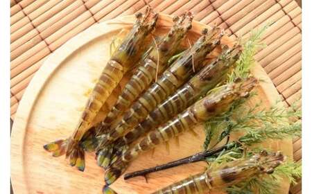 【12/10迄の申込で年内発送】こだわりの車海老 有頭車海老（冷凍）250ｇ×3パック（合計750g）F009