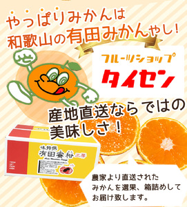 ZJ6008n_【先行予約】【ご家庭用】和歌山 有田みかん 約10kg (S、Mサイズ)【湯浅町】