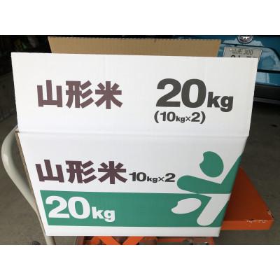 ふるさと納税 村山市 精米はえぬき　一等米　20kg (10kg×2)