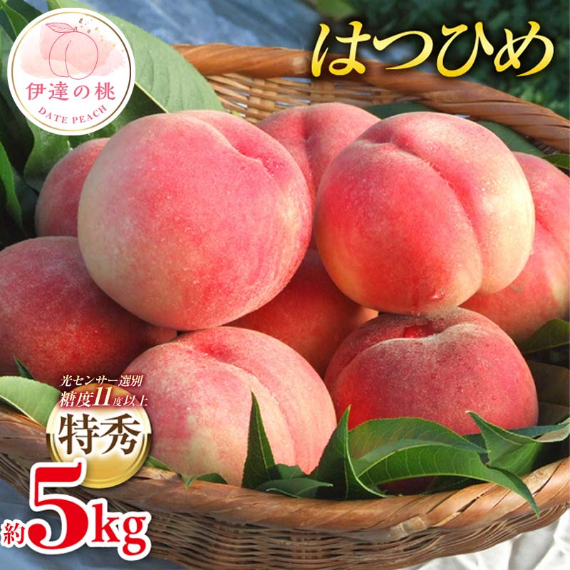 【ふるさと納税】【2026年出荷分先行予約】福島県産 はつひめ 約5kg (18～22玉) ふくしま未来農業協同組合 特秀 透過式光センサー選別 糖度11度以上 伊達の桃 桃 フルーツ 果物 もも モモ momo F20C-127