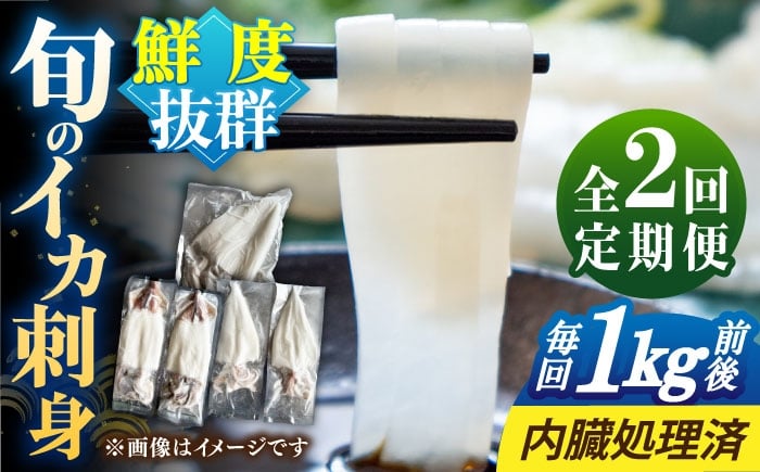 
            【全2回定期便】旬のイカ刺身1kg前後《壱岐市》【馬渡水産】イカ いか 烏賊 剣先 アオリ あおり スルメ するめ 刺身 刺し身 お刺身 海鮮 魚貝 冷凍配送 産地直送 [JAQ030]
          