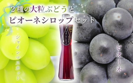 大粒ぶどうとピオーネシロップのセット【C-11】