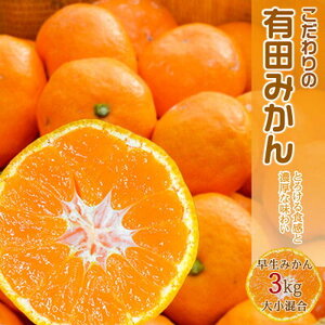 【2026年先行予約】濃厚な味わいのこだわり 有田みかん 3kg (早生みかん・大小混合)_EA6016n