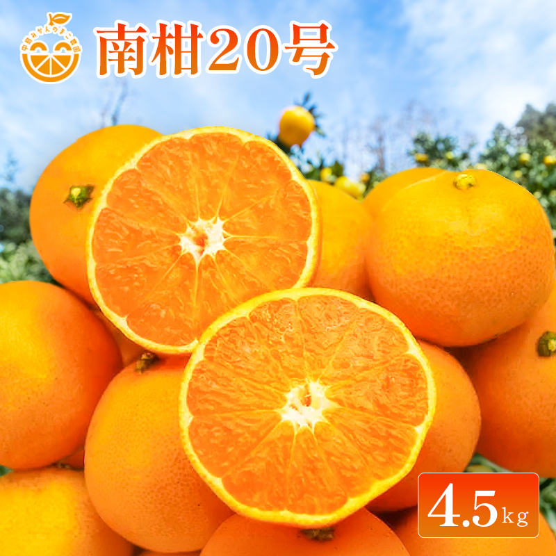 【2026年11月下旬から順次発送】 中島産 南柑20号 約4.5kg 中島みかんのまこ農園 | 愛媛産 愛媛県産 国産 愛媛みかん 愛媛蜜柑 愛媛ミカン みかん ミカン mikan 蜜柑 柑橘 フルーツ 果物 くだもの