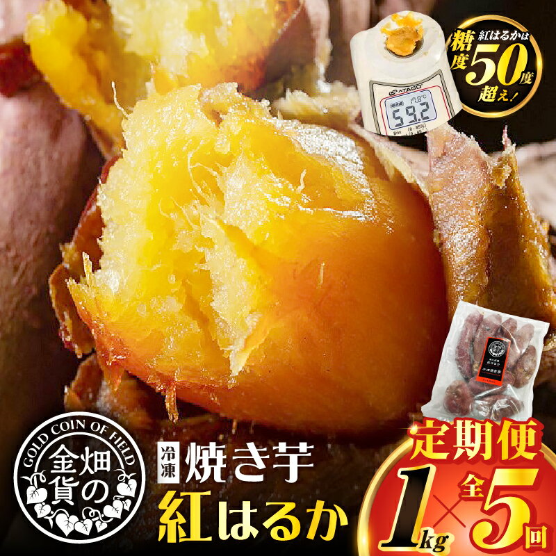【ふるさと納税】【全5回】 畑の金貨 焼き芋 紅はるか 1kg 定期便 送料無料 冷凍 甘い 完熟 熟成 糖度 蜜 芋 さつまいも 急速冷凍 冷凍 産地直送 甘いも販売所 甘いも 甘芋 鹿児島市 土産 贈り物 プレゼント ギフト 贈答