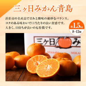 【2025年1月中旬より順次発送】紅ほっぺいちご 1パックと三ヶ日みかん青島 1.5kg 詰合せ【配送不可：離島】