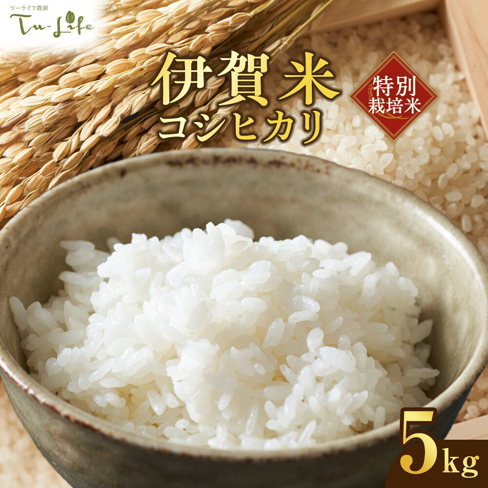 【ふるさと納税】特別栽培米・伊賀米コシヒカリ 5kg | 米 お米 白米 特別栽培米 モチモチ 冷めてもおいしい おむすび お弁当 産地直送 送料無料 楽天ふるさと 納税 返礼品 お取り寄せグルメ 取り寄せ お取り寄せ 三重県 伊賀市 三重 伊賀