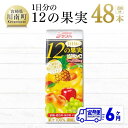 【ふるさと納税】※レビューキャンペーン※ 1日分の12の果実 200ml×48本セット 6ケ月定期便 ミックス ジュース 日向夏 果物 送料無料 F3025t6