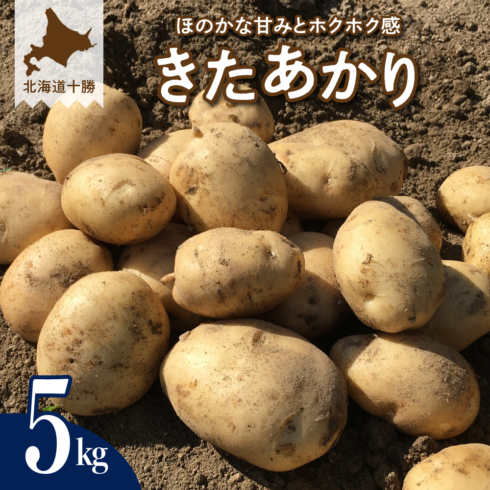 北海道十勝芽室町 きたあかり5kg me002-003-26b