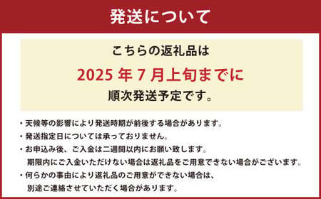 熊本県産 大玉スイカ 1玉 （2L以上・約7kg） 【2025年7月上旬迄発送予定】 大玉西瓜 大玉すいか 西瓜 すいか スイカ 果物 果実 フルーツ 大玉 九州 熊本県 熊本市 常温