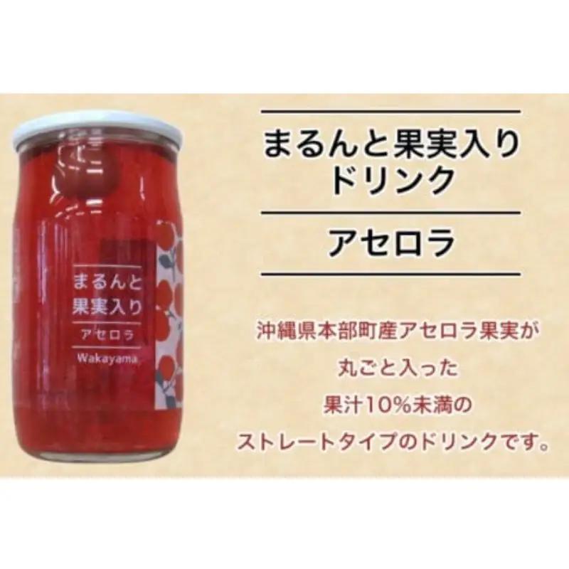 まるんと果実入りドリンク４種10本セット / 田辺市 ドリンク ジュース 果実ドリンク 梅ドリンク きんかんドリンク アセロラドリンク ブルーベリードリンク 梅 きんかん アセロラ ブルーベリー 和歌
