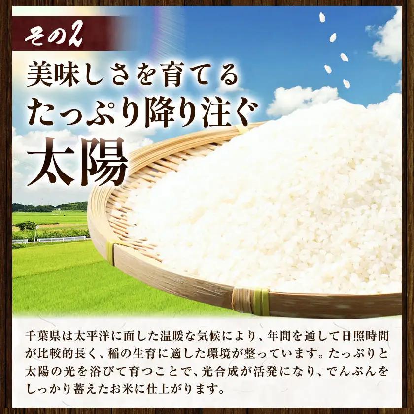 米 千葉めぐみ米 10kg 千葉県産