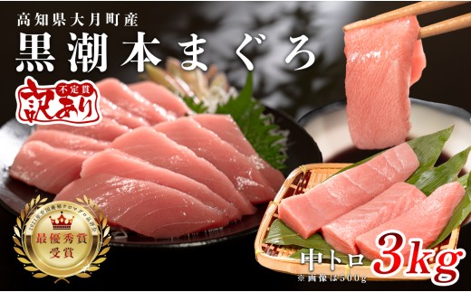訳あり 不定貫 国産 養殖本マグロ 中トロ 3kg 黒潮本まぐろ 全国養殖クロマグロ品評会 最優秀賞受賞 柵 刺身用 本マグロ クロマグロ 本鮪 まぐろ 鮪 お刺身 さしみ トロ 海鮮丼 漬け丼 手巻き寿司 鉄火丼 まぐろ丼 小分け 個包装 真空パック 冷凍 不揃い 家庭用 海鮮 年末年始 高知県 大月町 12万円