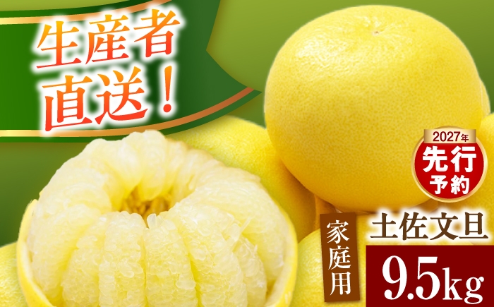 
                  【文旦9.5kg】家庭用 高知 高知県 [土佐文旦 2L～4L]サイズ 土佐文旦産直協同組合 高知 先行予約 期間限定 家庭用 訳あり 土佐文旦 高知 土佐市 土佐 大玉 柑橘系 果物 文旦 ぶんたん ブンタン フルーツ 柑橘類 数量限定 期間限定 季節限定 旬 常温 9.5kg 家庭用 土佐文旦 文旦 訳アリ 訳あり わけあり 高級 高級フルーツ 文たん ぶん旦 BQAH002
                