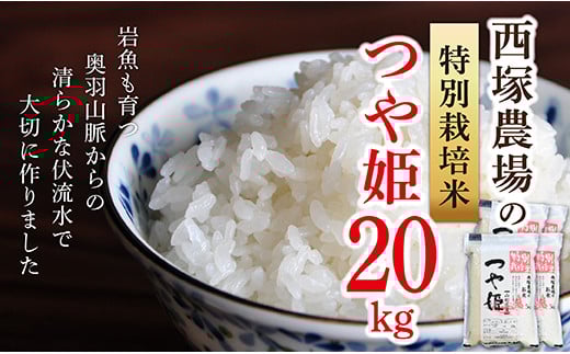 【令和6年産予約】特別栽培米　つや姫　玄米　20kg(10kg×2)