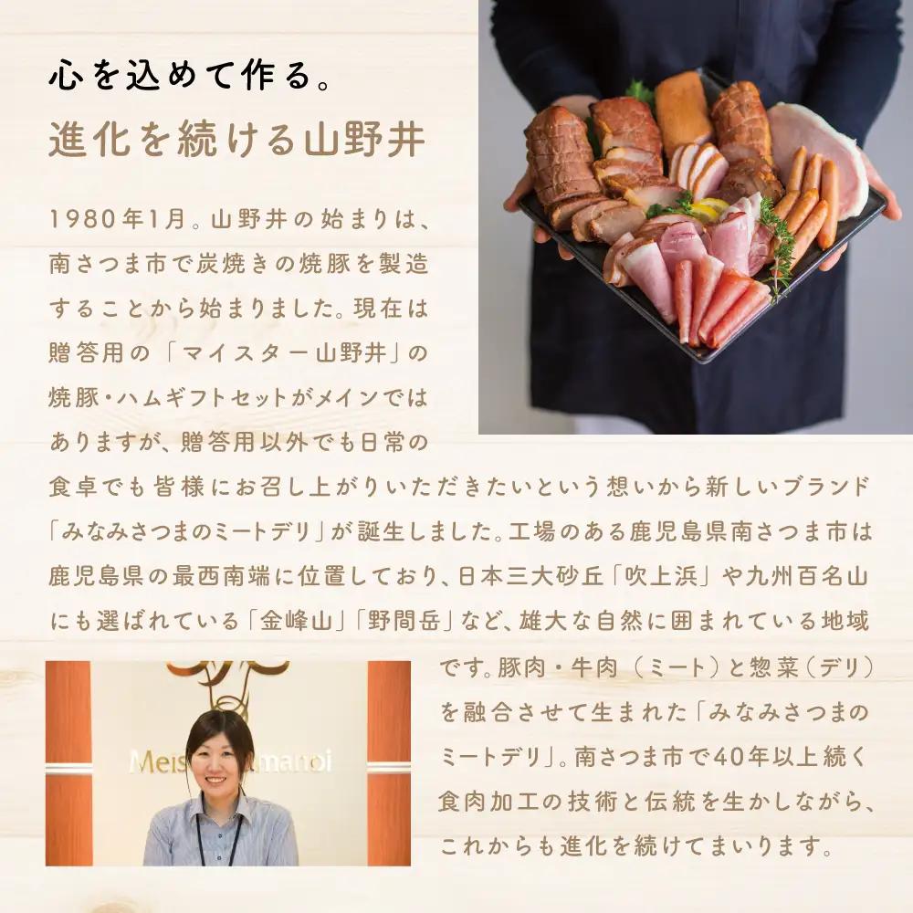【定期便 全12回】お肉のおかず定期便［みなみさつまのミートデリ］  ハンバーグ 焼き豚 ウインナー ソーセージ ローストポーク ハム ピスタチオ入り フランクフルト 切落し ミートローフ 豚バラ チ