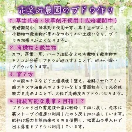 岡山　花笑み農園のブドウ『訳あり3種以上MIX』1kg　W3M-1【配送不可地域：離島・北海道・沖縄県】【1627779】