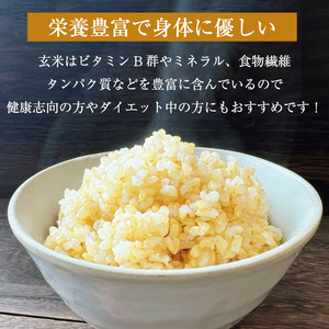 【パックごはん】160g×24食[a7414] 夢つくし玄米PREMIUM ごはん