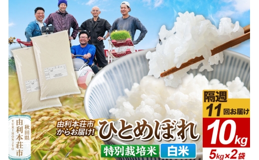 《2週間毎お届け》【定期便11回】令和8年産 新米受付【白米】ひとめぼれ 10kg（5kg×2袋）特別栽培米   秋田県産 [ひとめぼれ 新米予約 米 お米 白米 精米 特別栽培米 ブランド米 食卓 おにぎり 秋田県産 秋田]