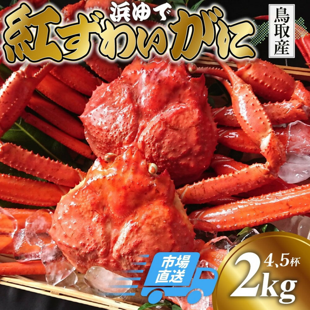 【ふるさと納税】鳥取から直送！ 釜茹で 紅ズワイガニ2kg(4～5杯) 未冷凍【ボイル】 | 国産 紅ズワイガニ カニ 蟹 かに ボイル カニ鍋 かに鍋 鍋 かにしゃぶ かにみそ 期間限定 送料無料 鳥取県 鳥取市