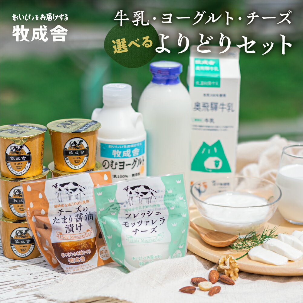 牧成舎 牛乳 ヨーグルト チーズ よりどり6種セット 飛騨産生乳で作ったこだわりの乳製品