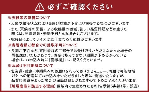 熊本県産 スイートコーン ミルキースイーツ 約5kg とうもろこし やさい 野菜 トウモロコシ 【2026年6月上旬発送開始】