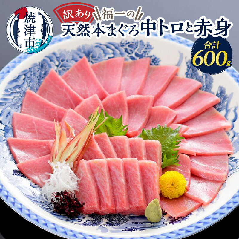 【ふるさと納税】 個数限定 訳あり 天然 まぐろ 本まぐろ 中トロ 赤身 セット 600g 魚 冷凍 焼津 a15-662