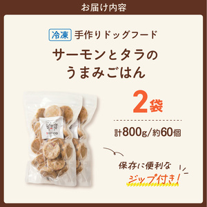 1cofood 手作りドッグフード サーモンとタラのうまみごはん 400g×2袋 〔Pf016〕