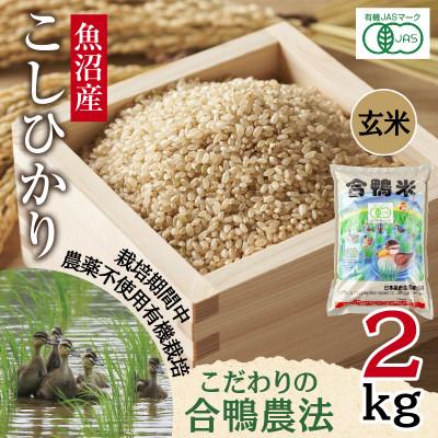 ふるさと納税 十日町市 【玄米】魚沼産 コシヒカリ 2kg 栽培期間中農薬不使用 あいがも農法 有機栽培米 新潟県十日町市