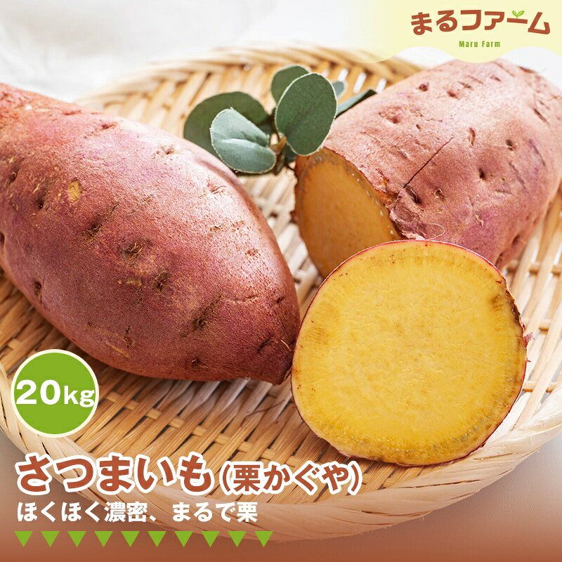【ふるさと納税】サツマイモ（栗かぐや） 20kg ／ さつまいも 栗かぐや 国産 新品種 希少品種 甘み ホクホク 食感 黄金色 果肉 焼き芋 料理用 大容量 日常使い 送料無料 千葉県 特産 No.386