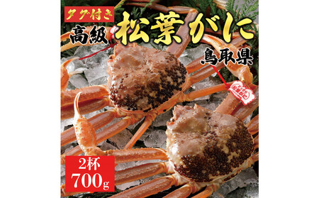 【2025年12月～2026年1月発送】特撰 松葉がに（なま）【ブランドタグ付き】700g超のサイズ  2杯