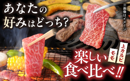 【全3回定期便】【焼き肉満喫セット】モモ 上カルビ 総計900g 長崎和牛 A4?A5ランク【野中精肉店】 [VF78] 肉 牛肉 赤身 もも カルビ 焼肉 定期便