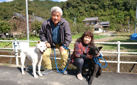 清家農園の文旦5kg家庭用（ジャム用）【特別栽培・農薬不使用】