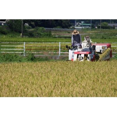 ふるさと納税 西予市 令和7年産:松本農園直送「宇和米(コシヒカリ)」6kg |  | 03