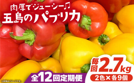 【全12回定期便】 五島のパプリカ 計18個 五島市/HPIファーム [PCP006] 野菜 やさい 国産 新鮮 緑黄色野菜 産地直送 とれたて
