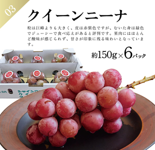 SE0209　【3回定期便】農家直送 フレッシュフルーツ定期便2024 (庄内メロン、青ぶどう、赤ぶどう)