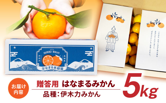 先行予約 伊木力みかん「はなまるみかん」（贈答用）5kg / 伊木力みかん みかん 蜜柑 ミカン 柑橘 果物 フルーツ / 諫早市 / 株式会社山野果樹園 [AHCF003]