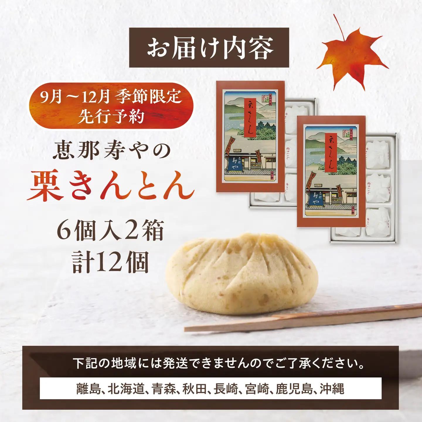 【先行予約】【着日指定可】 恵那寿やの栗きんとん 計12個（6個入×2箱） / 恵那市 / 恵那寿や [AUAS008]