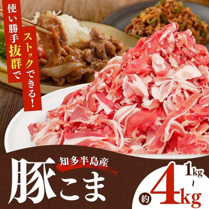 国産豚肉 小分け 小間 切り落とし4kg 500g8パック 真空 個包装 冷凍 新鮮 精肉店 肉屋 直送 厳選　知多豚 レシピ 炒め おかず