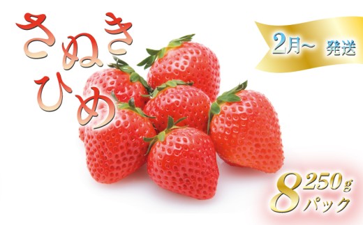いちごのお姫様 さぬきひめ 2月から順次発送 選べる容量 約250g×8パック 苺 いちご 果物 フルーツ 果物 ブランド さぬき姫 ジューシー 果汁 甘い 季節 デザート スイーツ ふるさと納税いちご ふるさと納税フルーツ 国産 香川県 丸亀市