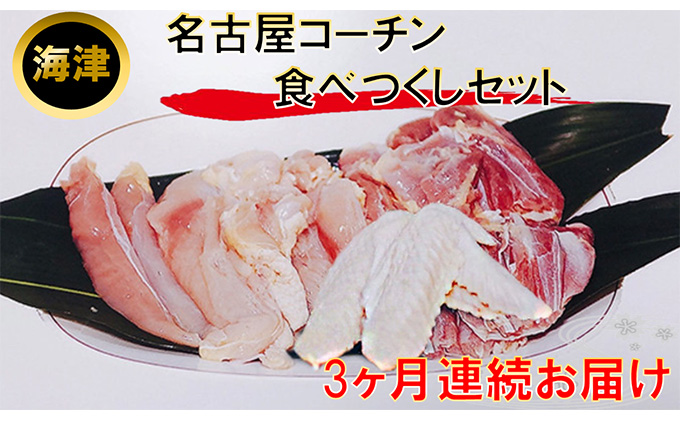 【3ヶ月連続お届け】名古屋コーチン もも・むね・ささみ合計2.4kg +手羽先6本 お肉 鶏肉 ムネ 3カ月 3回 
