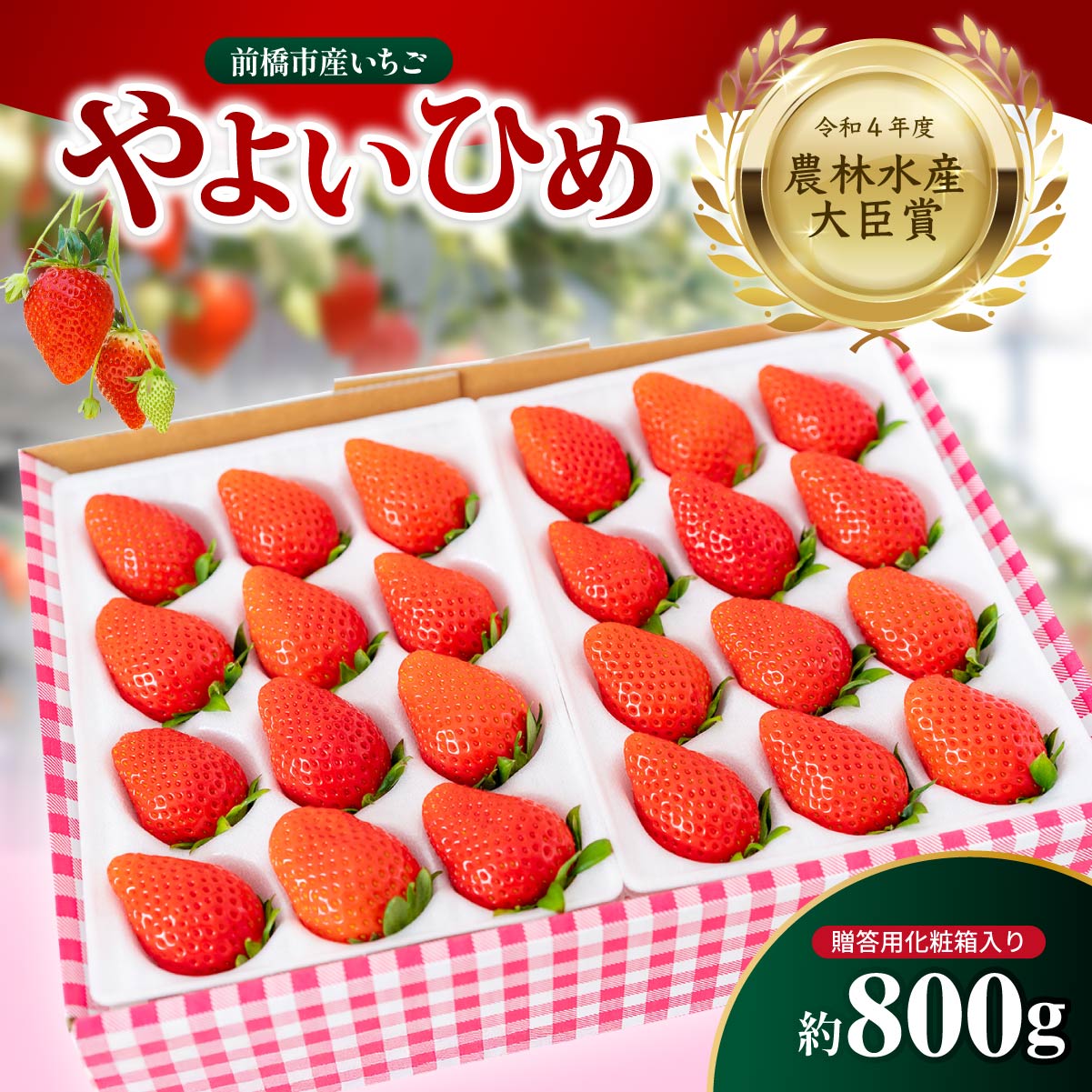 【ふるさと納税】いちご 農林水産大臣賞受賞 やよいひめ 800g 2026年先行予約 ｜人気 高評価 朝採れ 贈答用 化粧箱 イチゴ 苺 高品質 フルーツ たっぷり 新鮮 完熟 旬 ストロベリー 高級 甘い あまい 人気 高評価 高糖度 ごほうび プレゼント 松井ファーム 群馬県 前橋市