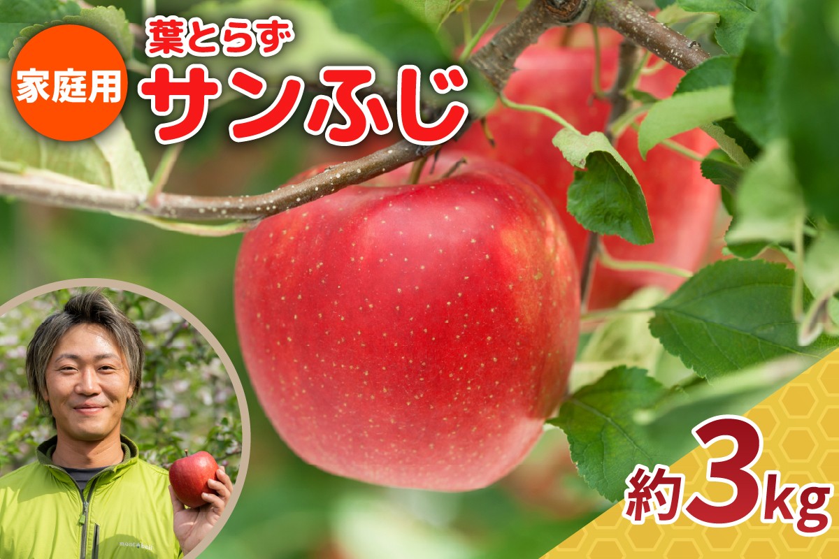 
            【選べる配送時期】りんご 3kg 程度 葉とらず サンふじ 11月 12月 家庭用 青森産 りんご ふじ 【 サンふじりんご 葉とらずりんご リンゴジュースやお菓子作りにも くだものフルーツ果物林檎約5kg 】
          