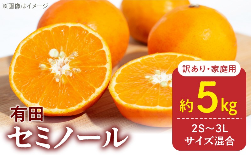 
                  【2027年先行予約】訳あり 家庭用 セミノール  和歌山 有田  2S~3Lサイズ混合 約5kg_DZ6211
                