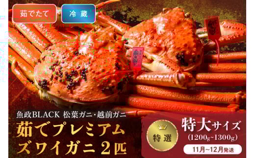 【蟹の匠 魚政】茹で　プレミアムズワイガニ 魚政BLACK（松葉ガニ・越前ガニ）特撰 特大サイズ（1200～1300g） 2匹セット　(11月～12月発送)【土日祝】　松葉蟹 蟹 かに カニ ガニ がに ボイル 海産物 甲殻類 海の幸 まるごと　UO01308