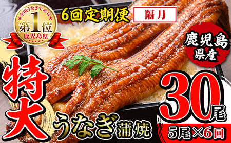 【6回定期便(隔月)】鹿児島県産 うなぎ蒲焼 特大 サイズ 5尾セット ＜（約220g×5・計約1100g）×全6回＞  【薩摩川内鰻】 i1177-B