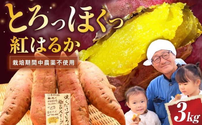 
            【厳選】紅はるか 3kg 滋賀県長浜市/好作豊吉 [AQCF013]
          