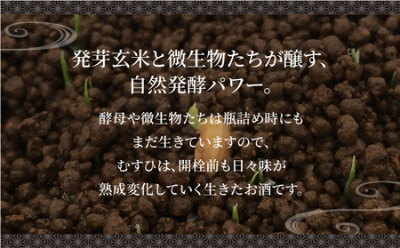 発芽玄米酒 むすひ 720ml[007-a010]