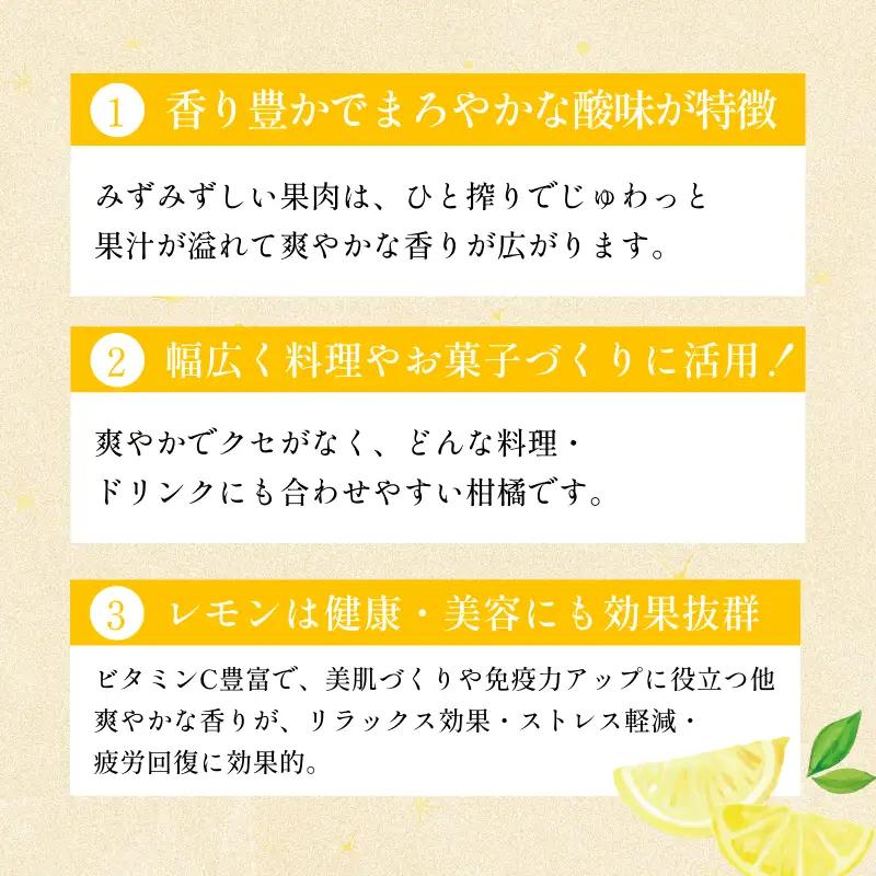 【先行予約】宗方印 レモン（家庭用）約1.5kg